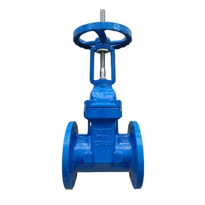 Double Flanged Gate Valve